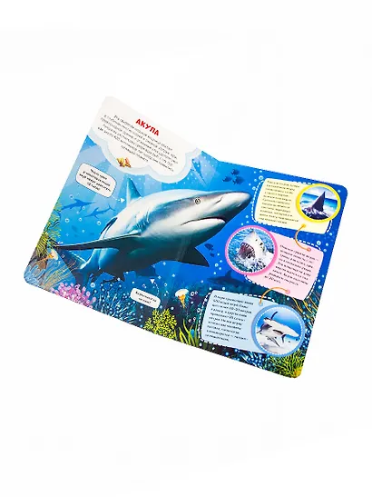 В море - фото 2