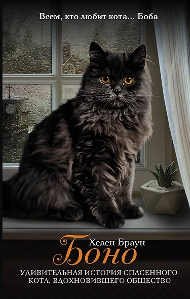 Боно. Удивительная история спасенного кота, вдохновившего общество - фото 1