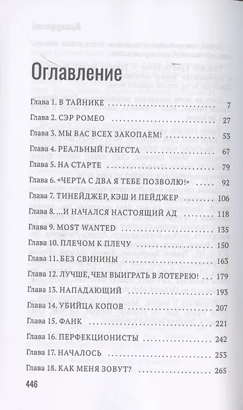 История гангста-рэпа. От истоков до наших дней - фото 2