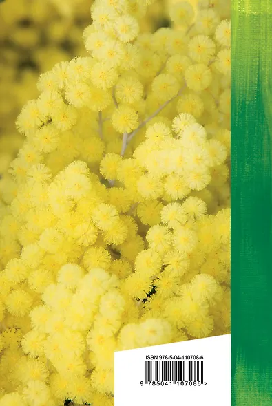 Что такое счастье - фото 2