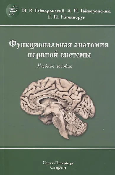 Функциональная анатомия нервной системы. Учебное пособие - фото 1