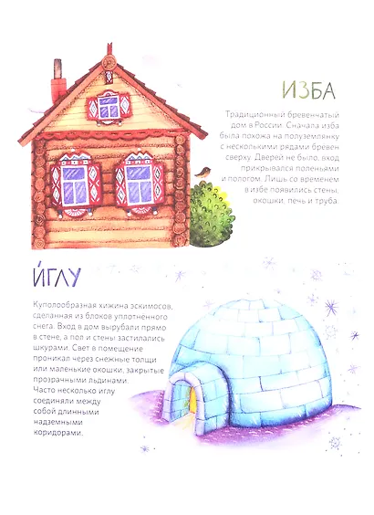 Мишки строят дом: Черный Нос и новое жилище - фото 2