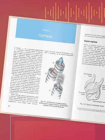 Анатомия голоса. Иллюстрированное руководство для певцов, преподавателей по вокалу и логопедов - фото 8