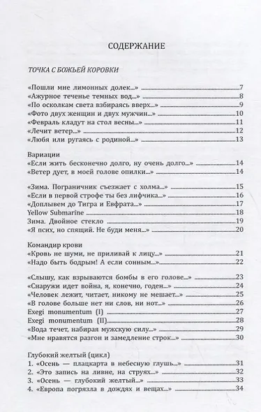 Точка с божьей коровки - фото 2