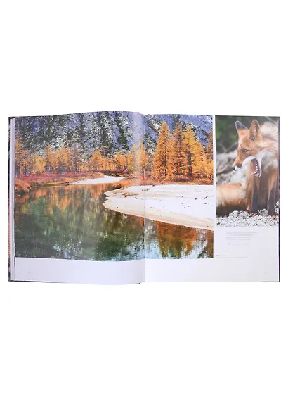 Россия. Дальний Восток. Фотоальбом - фото 5