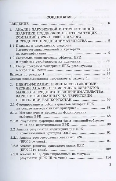 Исследование феномена быстрорастущих компаний Респ.Башкортостан на примере субъектов малого и среднего предпринимательства - фото 2