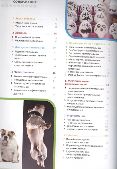 Итальянский язык. Иллюстрированная грамматика - фото 2