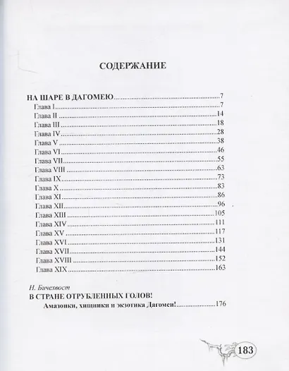 На шаре в Дагомею - фото 2