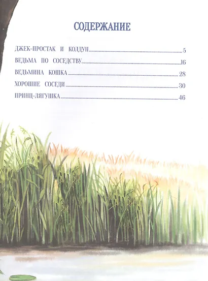 Сказки о ведьмах и колдунах - фото 5