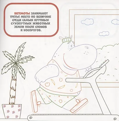 Нескучная раскраска с цветным контуром! Животные-Спортсмены - фото 2