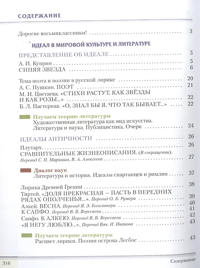Литература. 8 класс. Учебник. В двух частях. Часть 1 - фото 2