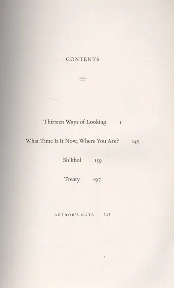 Thirteen Ways of Looking (м) McCann - фото 2