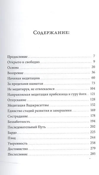 Беззаботное достоинство / Учения о природе ума - фото 2