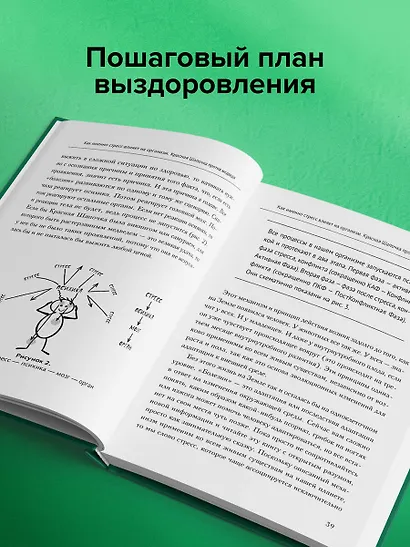 Доказательная психосоматика: факты и научный подход. Очень полезная книга для всех, кто думает о здоровье - фото 7