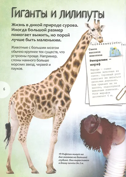 Животные. Энциклопедия удивительных фактов - фото 2