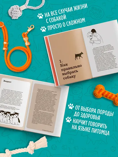 Хвалить! Кормить! Любить! Обаятельное пособие по воспитанию счастливой собаки - фото 5