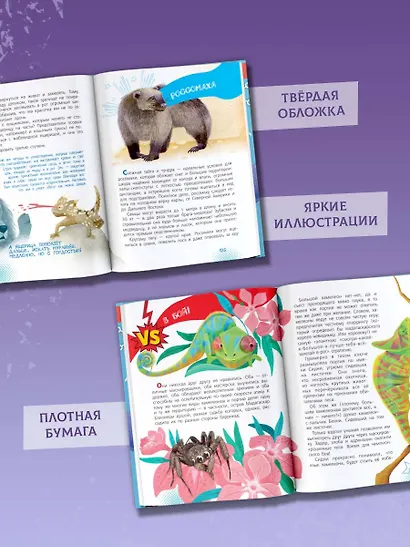 Животные-супергерои - фото 6