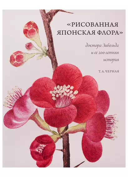 "Рисованная Японская Флора" доктора Зибольда и ее 200-летняя история - фото 1