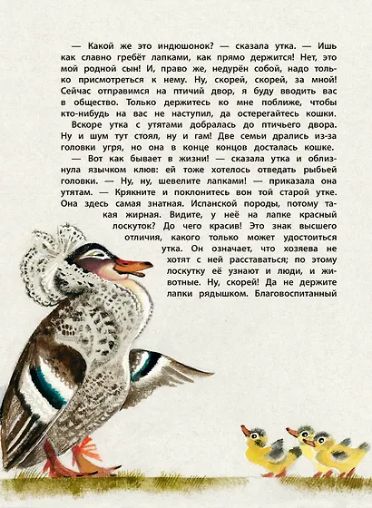 Большая книга лучших сказок Г. Х. Андерсена (ил. Н. Гольц) - фото 10