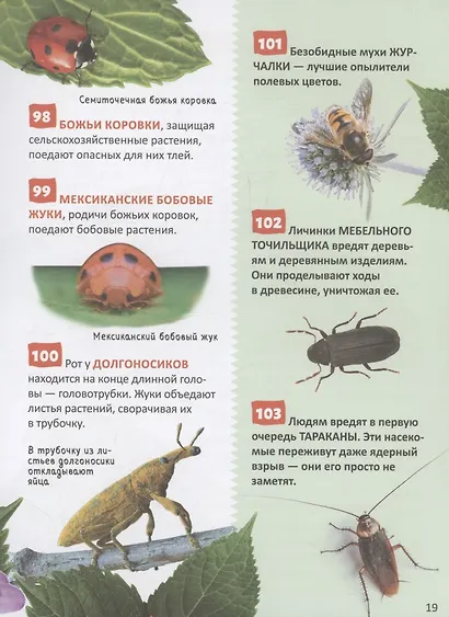 Удивительные животные. 250 фактов. Энциклопедия российского школьника - фото 5