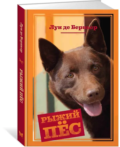 Рыжий пёс - фото 2