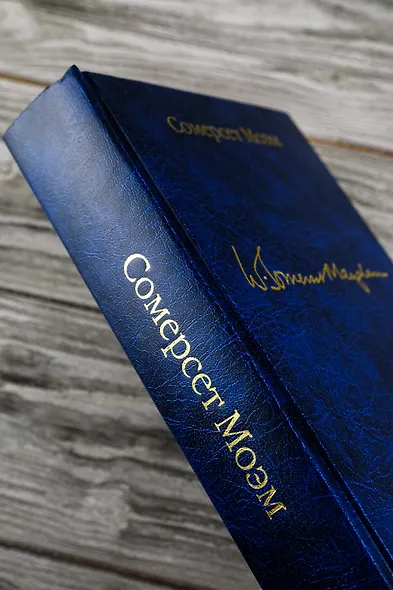 Лиза из Ламбета. Карусель - фото 8