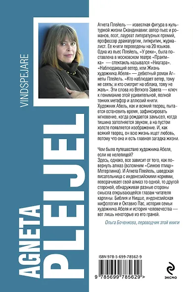 Наблюдающий ветер, или Жизнь художника Абеля - фото 2