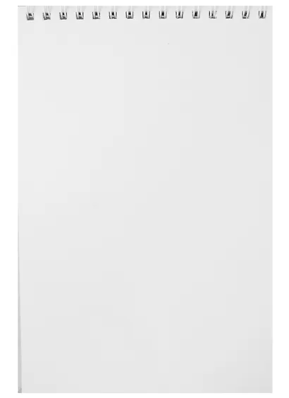 Скетчбук А5 40л "SKETCHBOOK. Shell", белый офсет, 100г/м2, евроспираль - фото 2