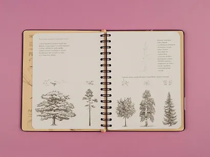 SketchBook. Продвинутые техники, пурпур - фото 6