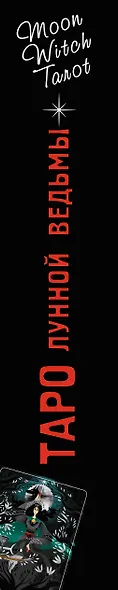 Таро Лунной ведьмы. Moon Witch Tarot. Путь в прошлое, настоящее и будущее - фото 14