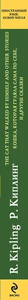 Английский с Р.Киплингом. Кошка, которая гуляла сама по себе и другие сказки = Rudyard KiplingThe Cat That Walked by Himself and Other Stories - фото 3