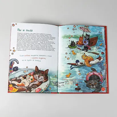 Я кот - фото 14