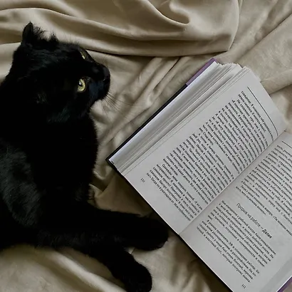 Переходи на темную сторону! Как превратить запретные желания подсознания в источник внутренней Силы - фото 4