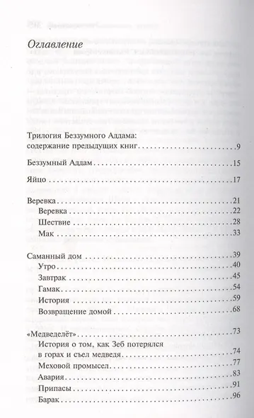 Беззумный Аддам - фото 4
