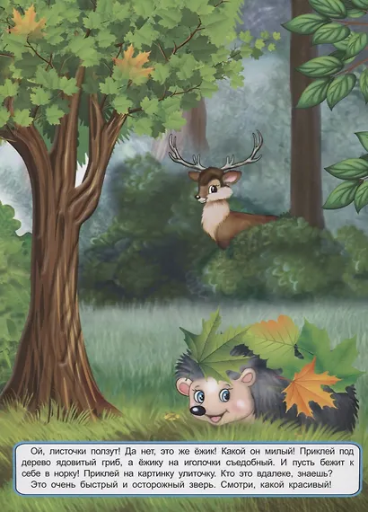 Мои лесные прогулки. Книжка с многоразовыми наклейками - фото 4
