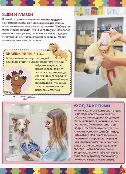 Моя первая книга о собаках и щенках. Детская энциклопедия - фото 6