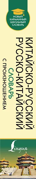 Китайско-русский русско-китайский словарь с произношением - фото 5