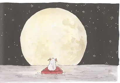 Жозефина мечтает о море - фото 5