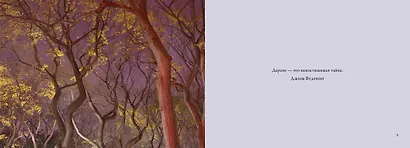 Деревья. Красота и гармония - фото 2