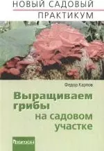 Выращиваем грибы на садовом участке - фото 1