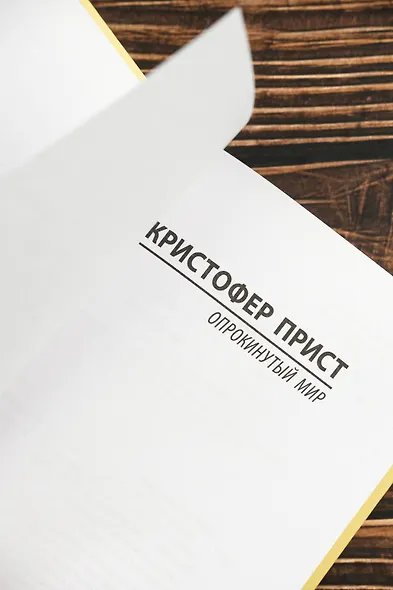 Опрокинутый мир - фото 7