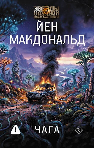 Чага - фото 1