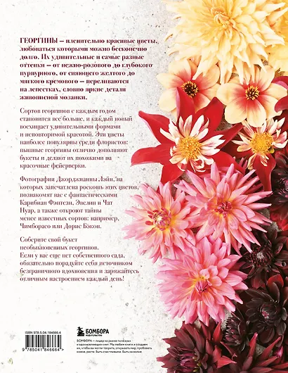 Георгины. Необыкновенные цветы для дома и сада - фото 2