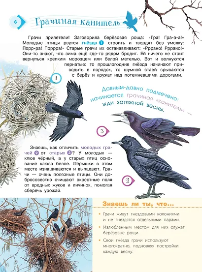 Энциклопедия для мальчиков и девочек. Наша природа - фото 7