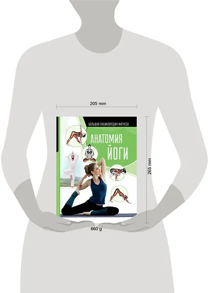 Анатомия йоги - фото 3