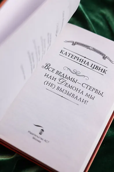 Все ведьмы – стервы, или Демона мы (не) вызывали! - фото 10