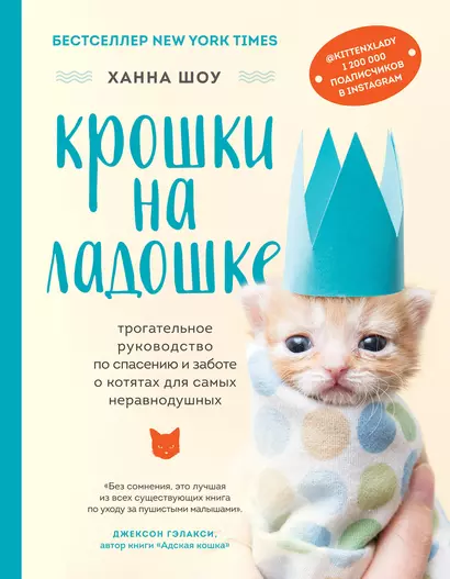 Крошки на ладошке. Трогательное руководство по спасению и заботе о котятах для самых неравнодушных - фото 1