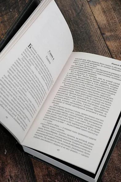 Первый феникс - фото 9