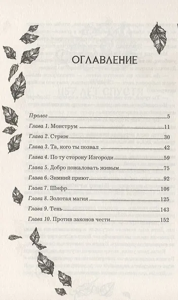 Анима. Золотой стриж - фото 2