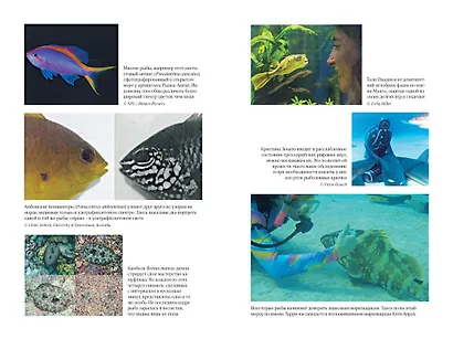 Что знает рыба. Внутренний мир наших подводных собратьев - фото 7